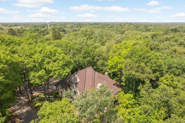 4266 Manor Court Rd, Minnetonka, MN 55345 - photo 79