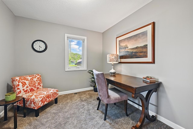 11350 97th Ave N, Maple Grove, MN 55369 - office area with carpet, baseboards, and a textured ceiling