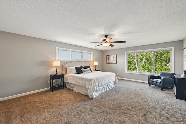 11350 97th Ave N, Maple Grove, MN 55369 - bedroom featuring carpet flooring, multiple windows, baseboards, and a textured ceiling