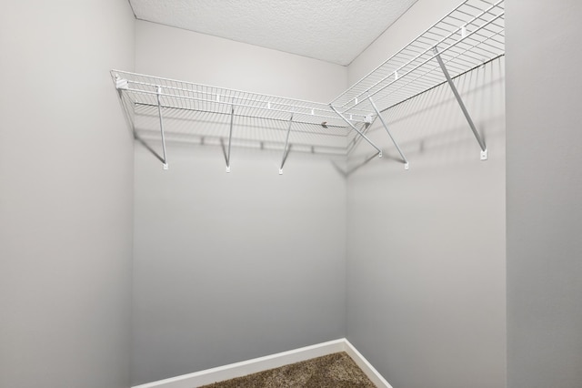 11350 97th Ave N, Maple Grove, MN 55369 - walk in closet with carpet flooring