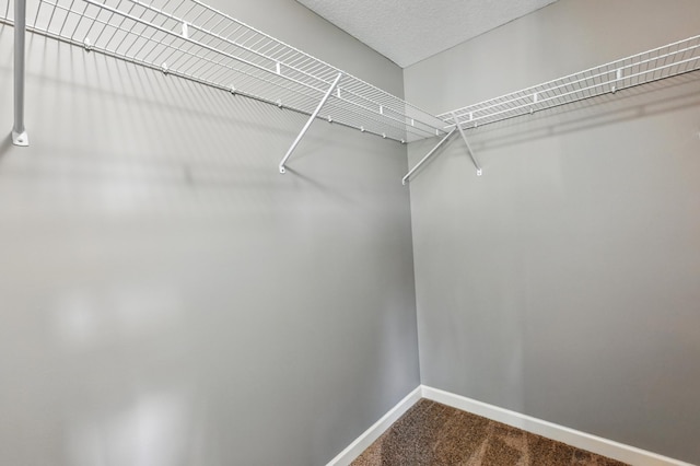 11350 97th Ave N, Maple Grove, MN 55369 - walk in closet with dark colored carpet
