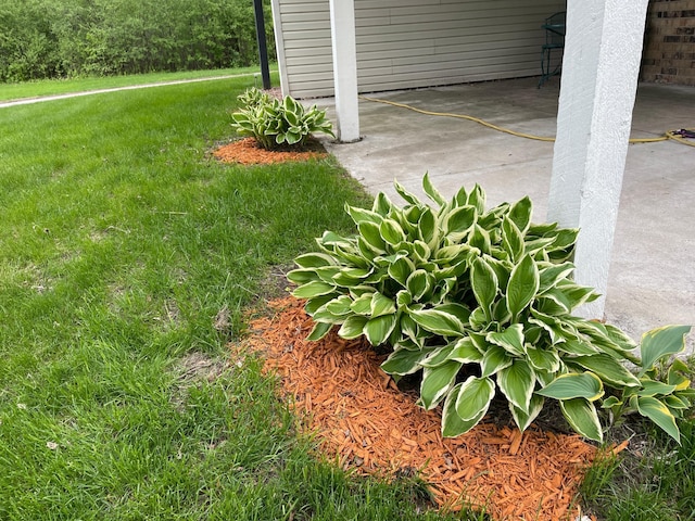 12232 Oak Leaf Cir, Burnsville, MN 55337 - view of green lawn