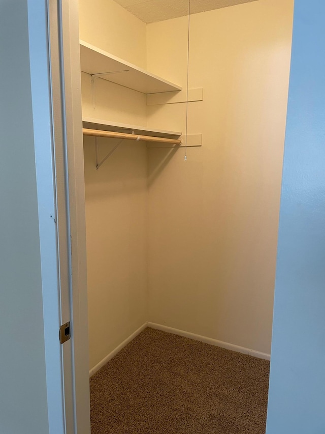 12232 Oak Leaf Cir, Burnsville, MN 55337 - walk in closet with carpet floors