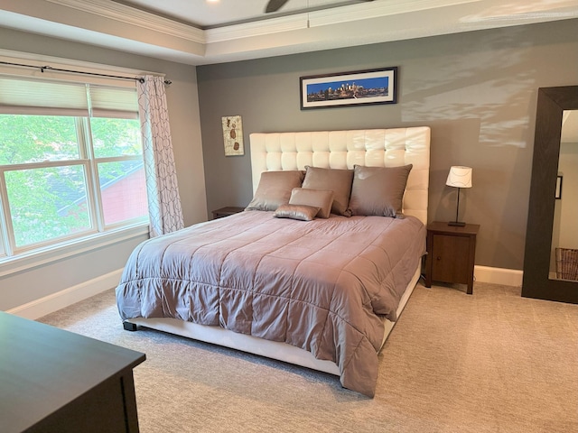 4312 France Ave S, Edina, MN 55410 - bedroom featuring carpet, baseboards, ornamental molding, and a raised ceiling