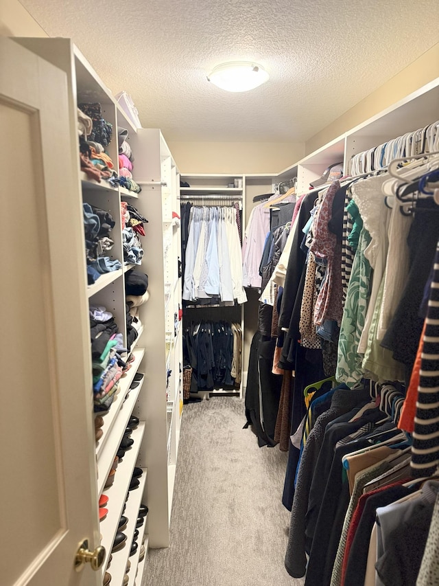 4312 France Ave S, Edina, MN 55410 - spacious closet with carpet floors