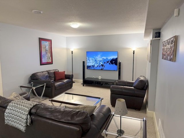 4312 France Ave S, Edina, MN 55410 - living area featuring carpet floors, baseboards, and a textured ceiling