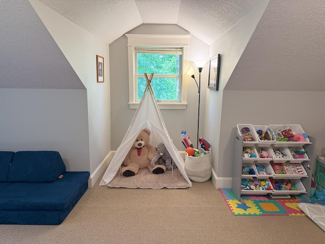 4312 France Ave S, Edina, MN 55410 - playroom with a textured ceiling, vaulted ceiling, carpet flooring, and baseboards