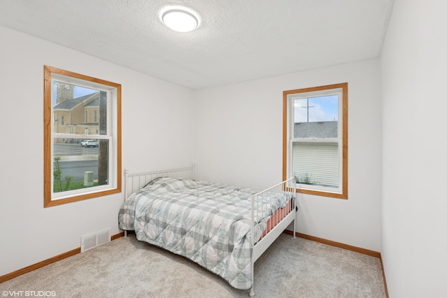 220 State St, Belle Plaine, MN 56011 - bedroom with multiple windows, carpet, baseboards, and a textured ceiling