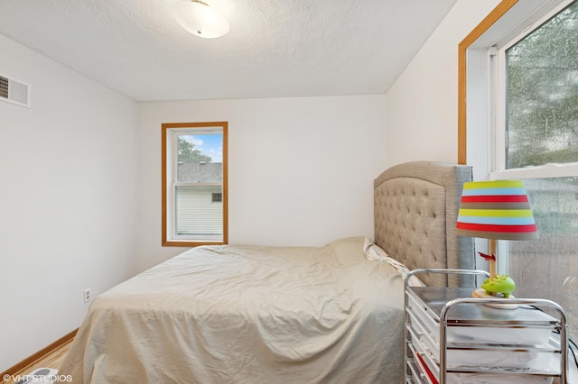 220 State St, Belle Plaine, MN 56011 - view of bedroom