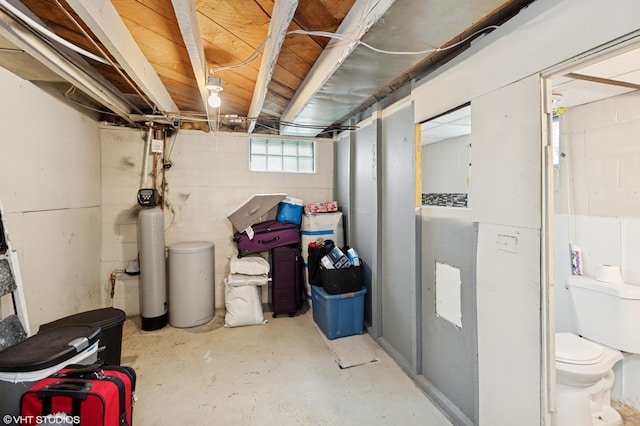 220 State St, Belle Plaine, MN 56011 - basement with a water softener and concrete block wall