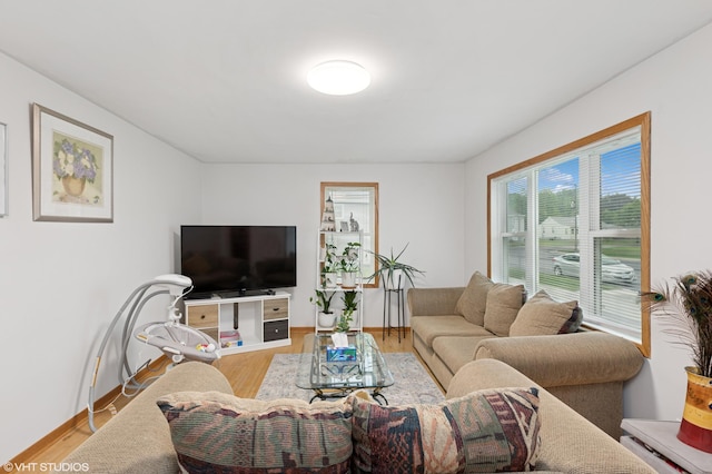 220 State St, Belle Plaine, MN 56011 - living room featuring plenty of natural light, wood finished floors, and baseboards