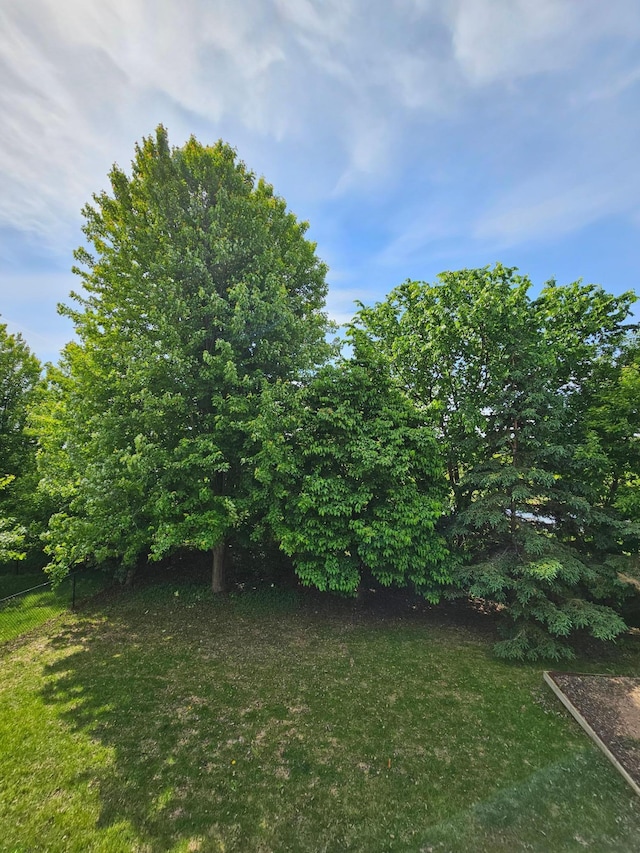 4629 Empress Way N, Hugo, MN 55038 - view of green lawn