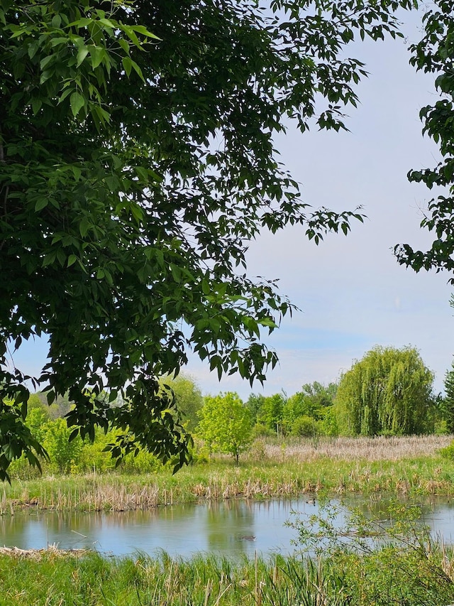 4629 Empress Way N, Hugo, MN 55038 - water view