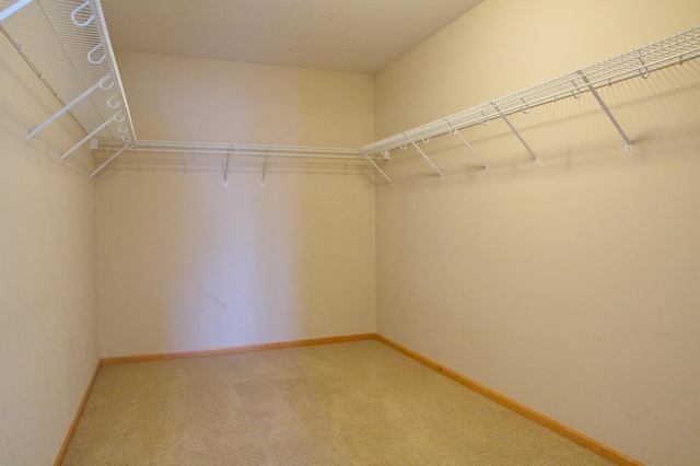 4629 Empress Way N, Hugo, MN 55038 - spacious closet featuring carpet flooring