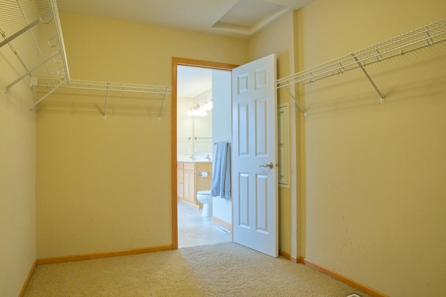 4629 Empress Way N, Hugo, MN 55038 - walk in closet with carpet flooring