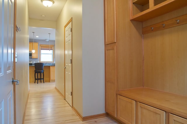 4629 Empress Way N, Hugo, MN 55038 - mudroom with light wood-style floors, baseboards, and a sink