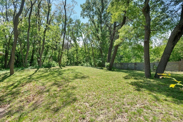 12601 Ridgemount Ave W, Minnetonka, MN 55305 - view of yard