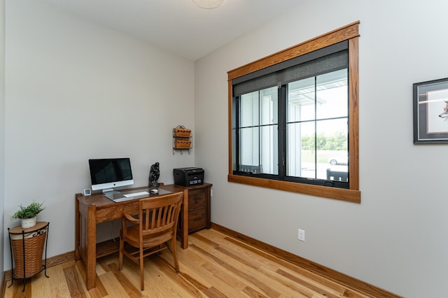 918 Hidden Meadow Ln, Lake City, MN 55041 - home office with light wood-style floors and baseboards