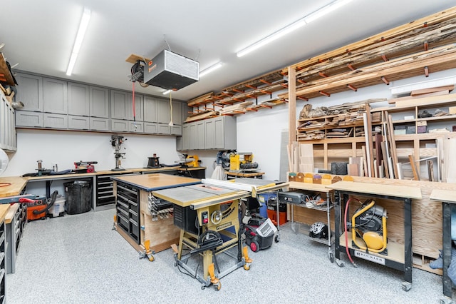 918 Hidden Meadow Ln, Lake City, MN 55041 - garage with a workshop area