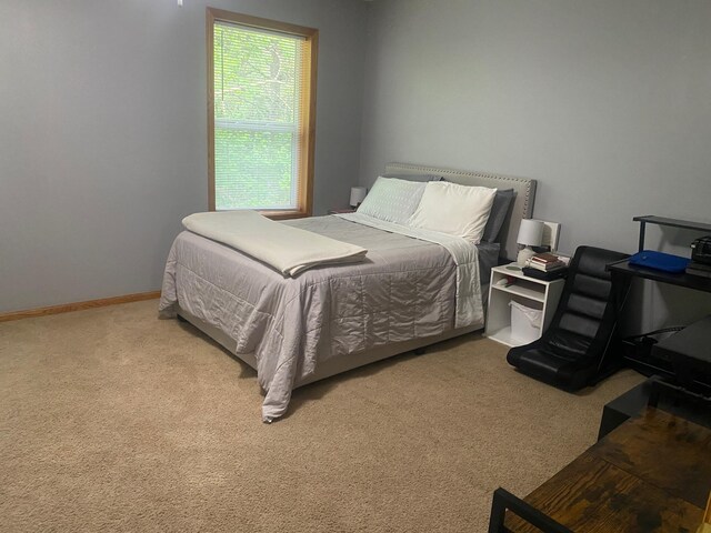 2054 Shryer Ct E, North Saint Paul, MN 55109 - photo 10