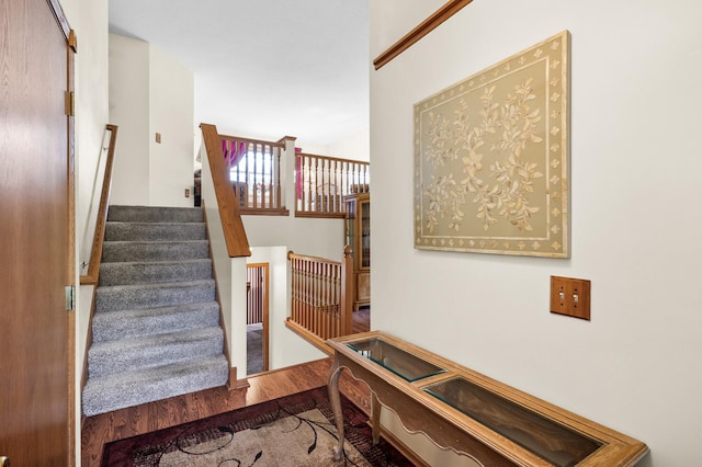 197 Century Trl, Lino Lakes, MN 55014 - photo 4
