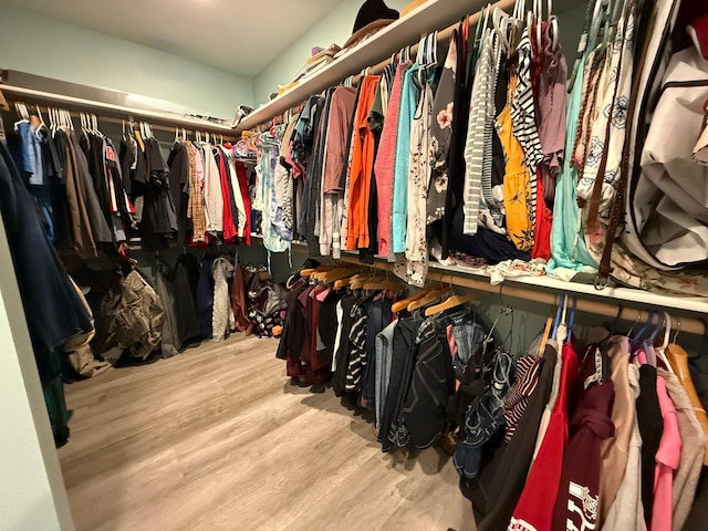 2014 Nelson Dr, Thief River Falls, MN 56701 - walk in closet with wood finished floors