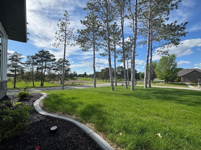 807 Whitetail Ln, Detroit Lakes, MN 56501 - view of green lawn