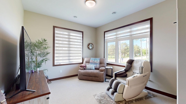 807 Whitetail Ln, Detroit Lakes, MN 56501 - living area with baseboards and carpet