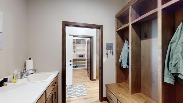 807 Whitetail Ln, Detroit Lakes, MN 56501 - mudroom featuring a sink and light wood-type flooring