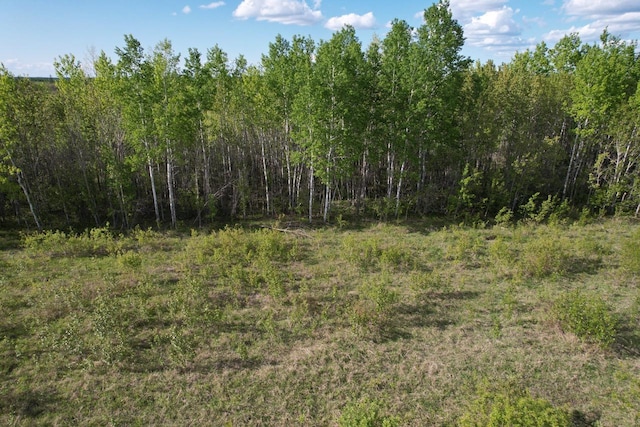 TBD 39th St SE, Baudette, MN 56623