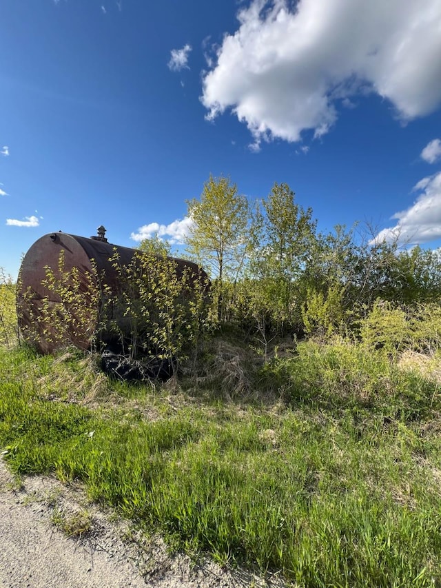 TBD 39th St SE, Baudette, MN 56623