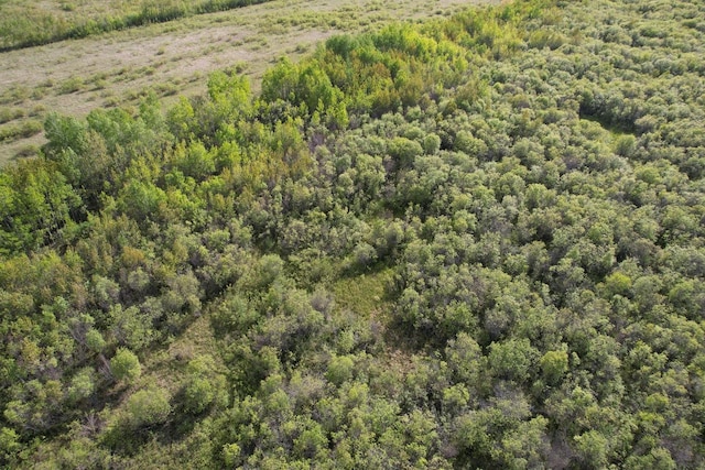 TBD 39th St SE, Baudette, MN 56623