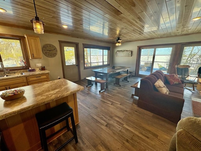 46824 Foss Rd, Osage, MN 56570 - living room with wood ceiling, dark wood-type flooring, ceiling fan, and recessed lighting