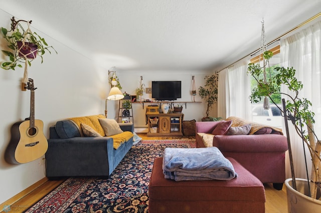 1013 15 1/2 St N, Moorhead, MN 56560 - living area with wood finished floors and baseboard heating