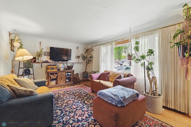 1013 15 1/2 St N, Moorhead, MN 56560 - living room featuring wood finished floors and a textured ceiling