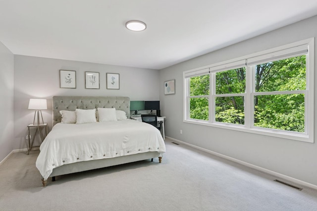 6609 Red Birch Ct, Lino Lakes, MN 55014 - carpeted bedroom with baseboards
