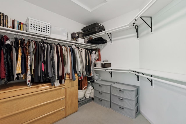 6609 Red Birch Ct, Lino Lakes, MN 55014 - walk in closet featuring carpet