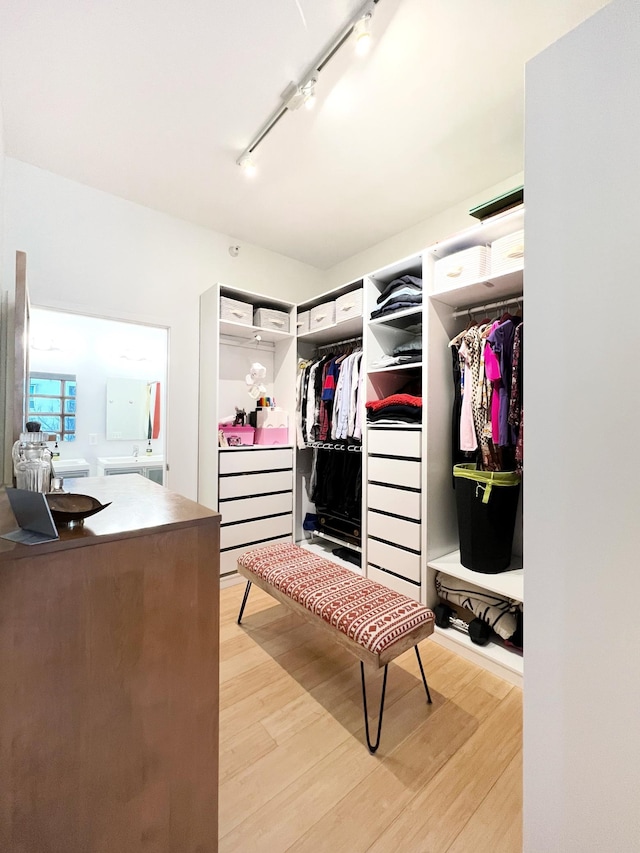 2840 Bryant Ave S Unit E303, Minneapolis, MN 55408 - walk in closet with light wood-style floors