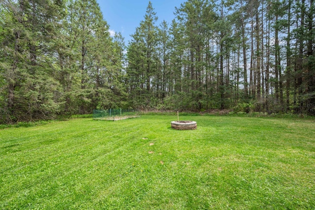 3108 4th Ave, Grand Rapids, MN 55744 - view of green lawn with an outdoor fire pit