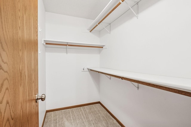 10726 Toledo Ct, Bloomington, MN 55437 - spacious closet featuring carpet
