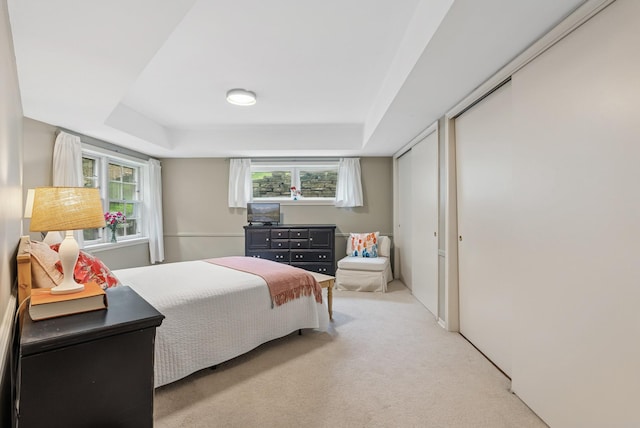 6413 Mendelssohn Ln, Edina, MN 55343 - bedroom featuring light colored carpet, a raised ceiling, and multiple closets