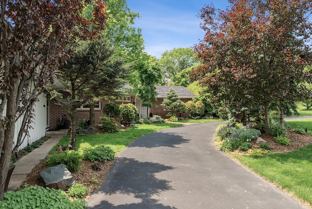6413 Mendelssohn Ln, Edina, MN 55343 - view of property hidden behind natural elements with brick siding and a front yard