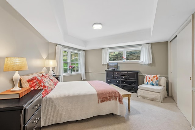 6413 Mendelssohn Ln, Edina, MN 55343 - bedroom featuring a raised ceiling and carpet