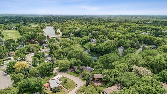 6413 Mendelssohn Ln, Edina, MN 55343 - bird's eye view of a large body of water and a forest