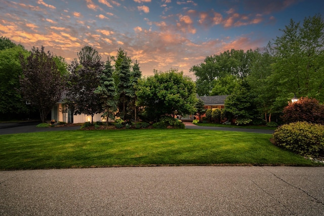 6413 Mendelssohn Ln, Edina, MN 55343 - view of front of house featuring a yard