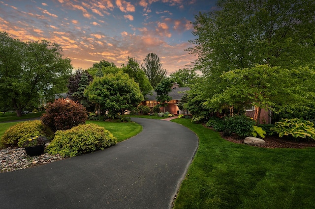 6413 Mendelssohn Ln, Edina, MN 55343 - view of asphalt driveway