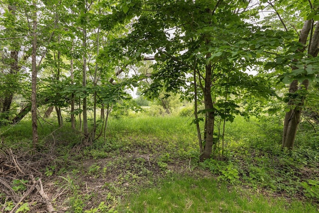 29151 Pleasant Lake Rd, Sverdrup Twp, MN 56586