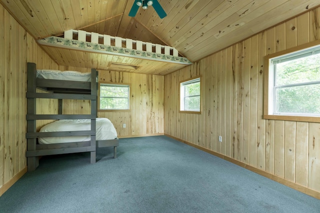 29151 Pleasant Lake Rd, Sverdrup Twp, MN 56586