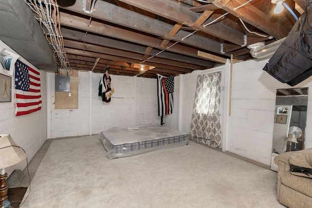 1342 10th St N, Fargo, ND 58102 - below grade area featuring electric panel