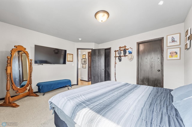 6718 69th Ave S, Horace, ND 58047 - bedroom with light carpet, baseboards, and multiple closets